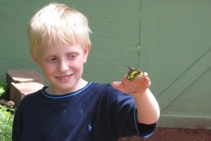 Boy with butterfly